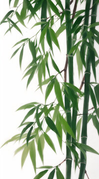 綠竹圖