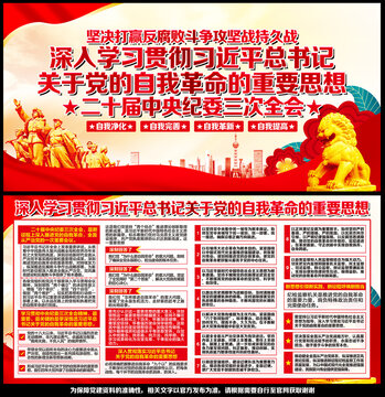二十屆中央紀委三次全會
