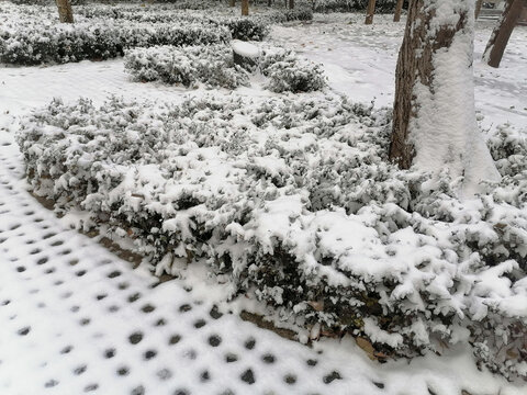 大雪