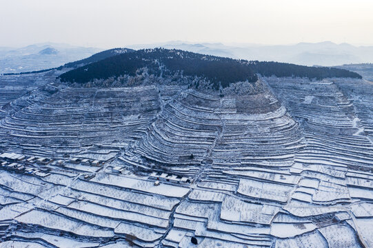 梯田雪景