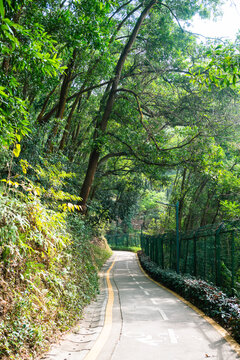 城市公园绿化步道