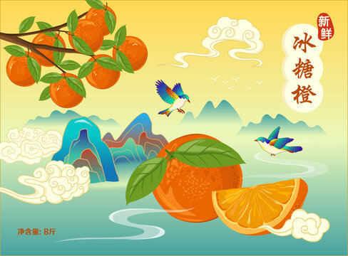 橙子包装形象插画
