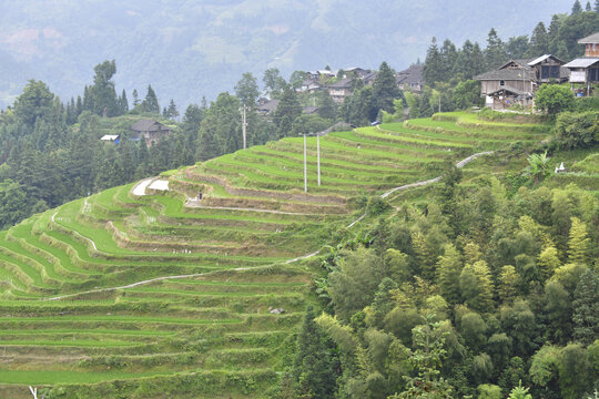 山区梯田