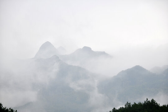 高山云雾