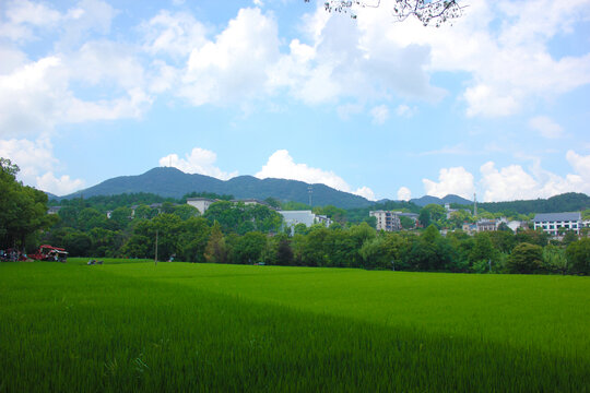 韶山风光