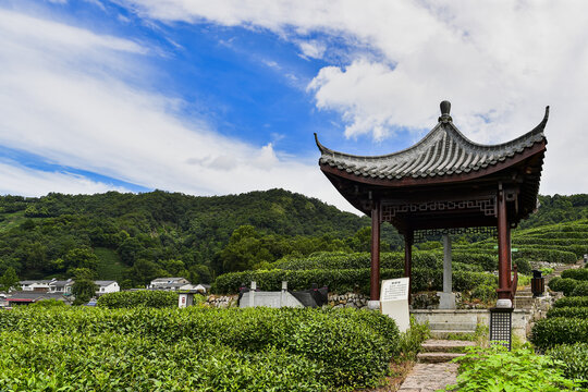 杭州西湖龙井茶园思茶亭