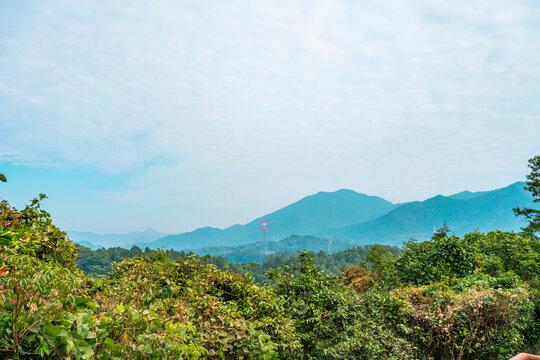 梧桐山风景