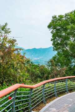 深圳淘金山绿道风景