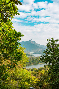 深圳淘金山绿道风景