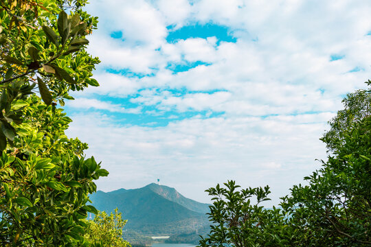 深圳梧桐山