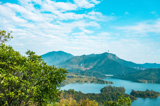 深圳弘法寺鸟瞰