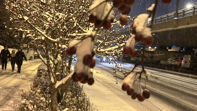 雪景