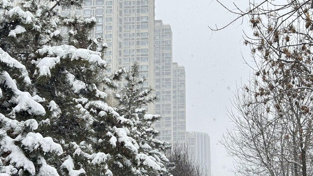 雪景