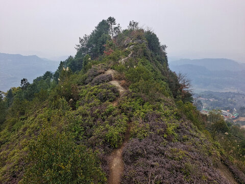 山顶险道