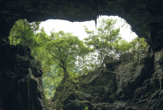 广西河池弄响天坑岩溶地貌洞口