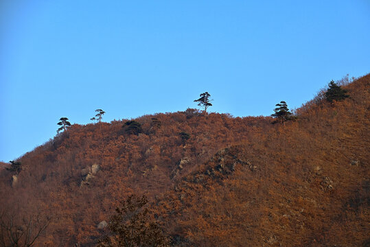 秋日大山