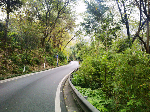 景区里的沥青公路