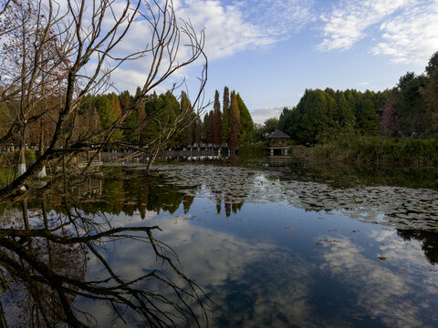 滇池湿地