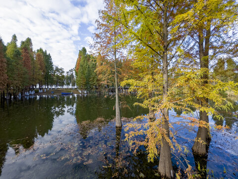 滇池湿地