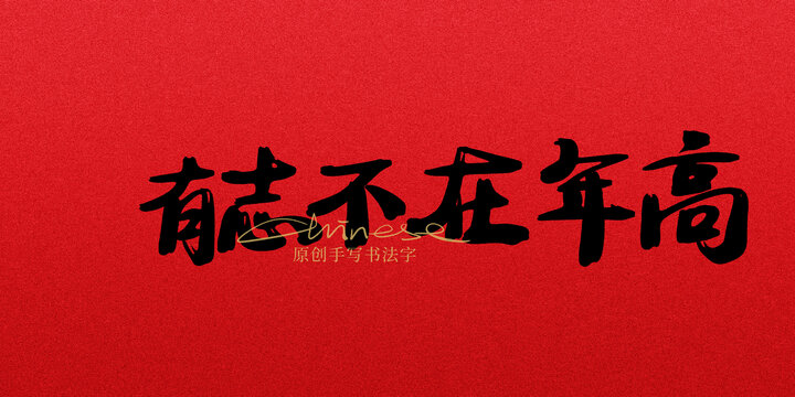 有志不在年高