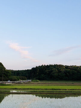 日本乡村生态风光