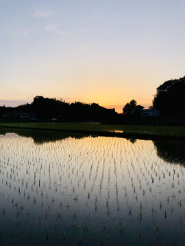 日本乡村生态风光