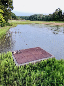 日本农田水利设施稻田灌溉