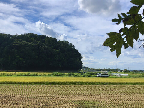 日本乡村生态风光