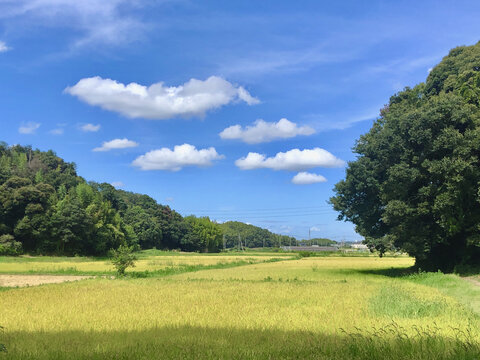 日本乡村风貌