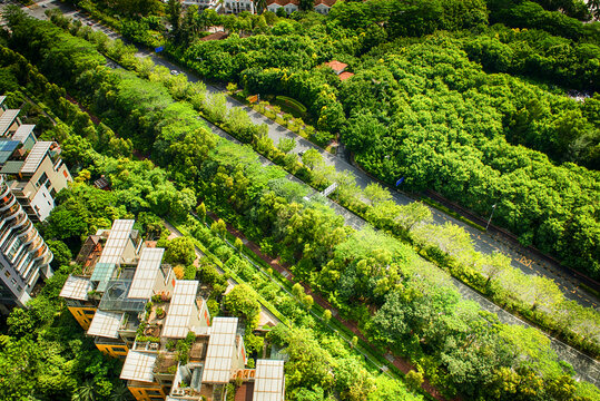 城市绿化