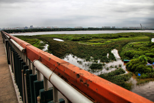 松花江湿地