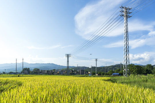 田间电塔