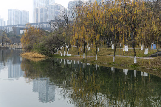 锦城湖公园