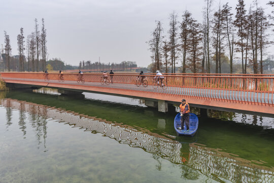 锦城湖风光