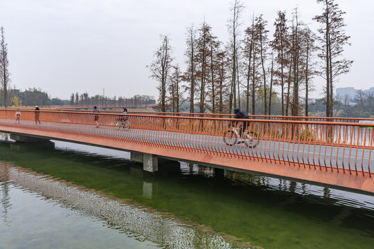 锦城湖风光