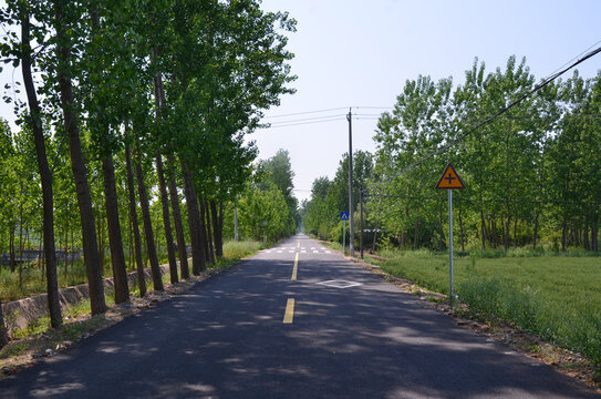 乡村道路