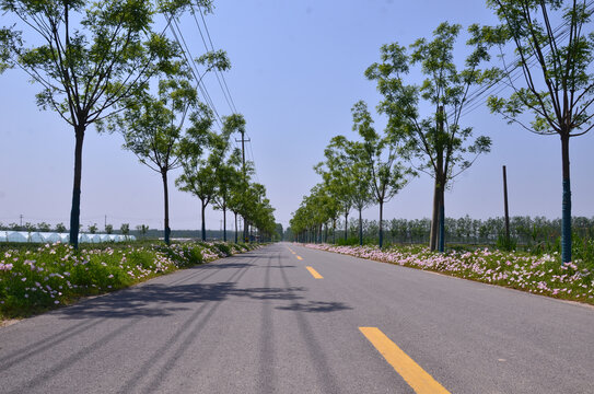 乡村道路