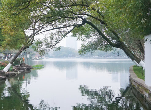 湖边风景