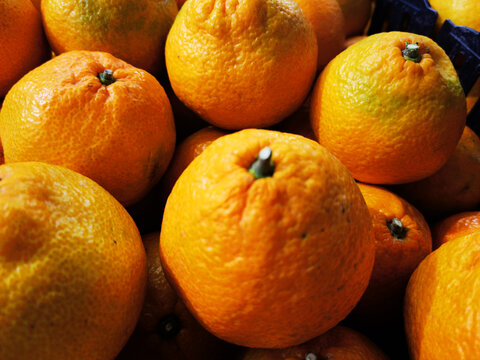 酸甜的柑橘摄影美图