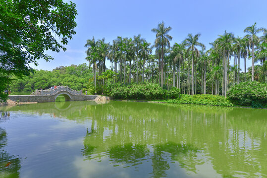 广州华南国家植物园