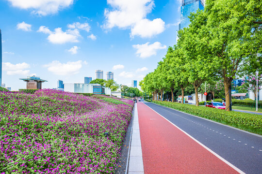 鲜花步道