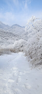 俯瞰登山