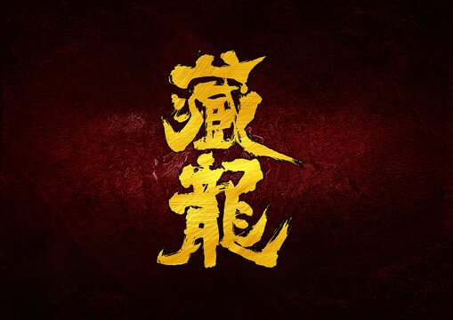 藏龍字體設計