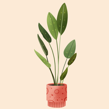 扁平小清晰手绘植物插画