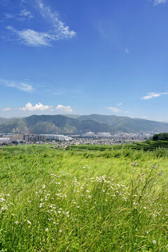 夏日乡村风光