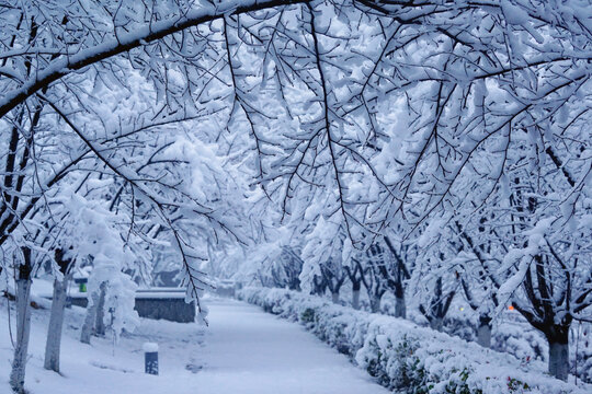 长沙北辰三角洲的雪景