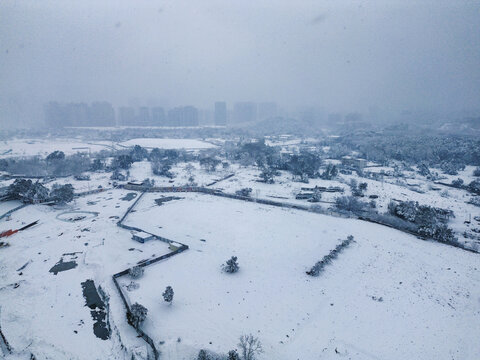 长沙福元路大桥的雪景