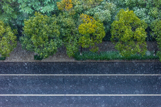 杭州下雪天的道路