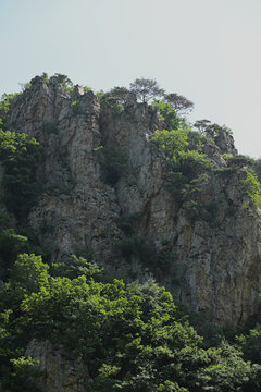 夏日山景