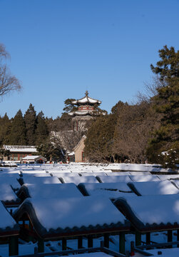 颐和园雪景